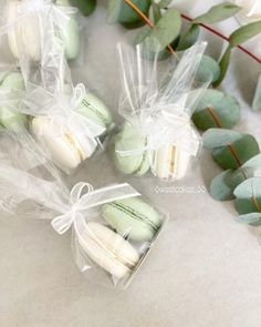 small macaroons wrapped in clear cellophane and tied with ribbon on white table