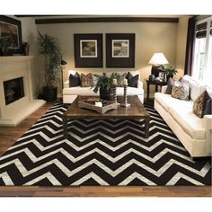 a living room filled with furniture and a black and white rug