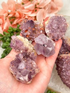 Cute little Madagascar amethyst clusters with a mix of purple hues, some with some redish tones from hematite and more! Some will be a bit chunkier, but most of these are going to be a smaller point formation. This is my first time finding these clusters from the Madagascar locality! Typically you see mostly polished amethyst from there. Available in 4 different sizes. Take a look at the photo with the quarter for a size reference. They are shown left to right smallest to largest. You will recei Lavender Healing Crystals Raw Stone, Mystical Purple Crystals With Natural Stones, Lavender Amethyst Geodes For Spiritual Use, Spiritual Lavender Raw Stone Crystals, Purple Faceted Amethyst Crystal Necklaces, Amethyst Properties, Lavender Spiritual Crystals Raw Stone, Mystical Purple Natural Stone Crystals, Lavender Raw Stone Spiritual Crystals