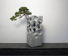 a bonsai tree in a concrete vase with holes on the bottom and branches growing out of it