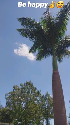 a palm tree with the words be happy written on it and an emoticive smiley face