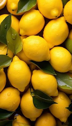 a pile of lemons with leaves and water droplets on the top one is yellow