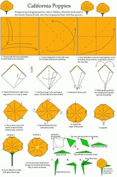 how to make an origami flower with paper - step by step instructions for