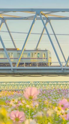 a train traveling over a bridge with flowers in the foreground