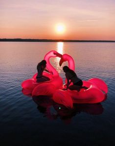 two people are floating on inflatable flamingos at sunset