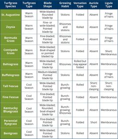 a table with different types of plants and their names