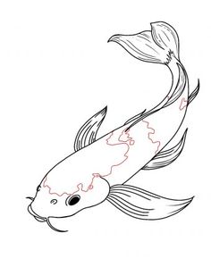 a drawing of a koi fish