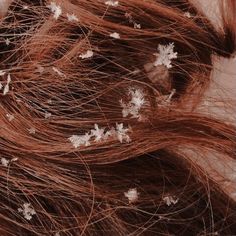 closeup of hair with white flowers on it's top and long brown hair