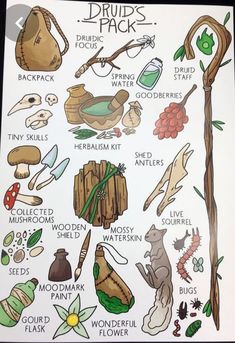 an illustrated poster with different types of plants and animals on it's back side