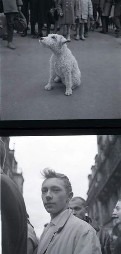 black and white photos of a man with a dog