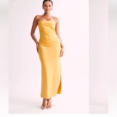 Nwt! Golden Yellow Chic Mustard Maxi Dress For Party, Chic Fitted Mustard Maxi Dress, Chic Mustard Midi Dress For Party, Chic Mustard Maxi Dress For Brunch, Yellow Sundress For Evening, Chic Fitted Yellow Maxi Dress, Chic Yellow Fitted Maxi Dress, Meshki Dresses, Backless Slip Dress