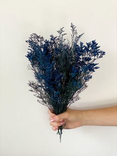 a person's hand holding a bunch of blue flowers