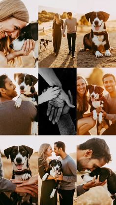 a collage of people holding dogs in their hands