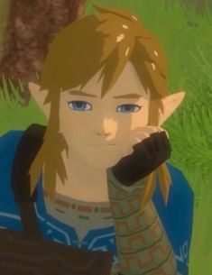 Zelda Breath Of The Wild, Legend Of Zelda Breath, Zelda Breath, Breath Of The Wild, The Legend Of Zelda, Legend Of Zelda, The Wild, Long Hair, Zelda