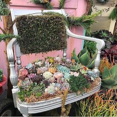 an old chair is covered with plants and flowers in the garden shop's mobile app