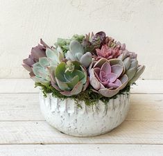 Talulla Planter. Diy Bridal Party, Cactus Types, Succulent Centerpieces, Types Of Succulents, Flowers Bouquet Gift, Diy Bridal, Succulent Wedding, Succulent Arrangements, Diy Centerpieces