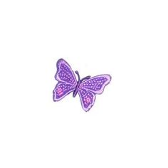 a purple butterfly on a white background