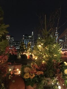 the city skyline is lit up at night as well as many plants and trees in pots