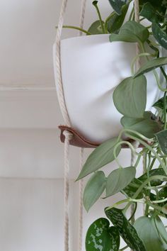 a potted plant hanging from a rope next to a white vase with green leaves