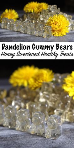 dandelion gummy bears with honey sweetened jelly treats in them and yellow flowers