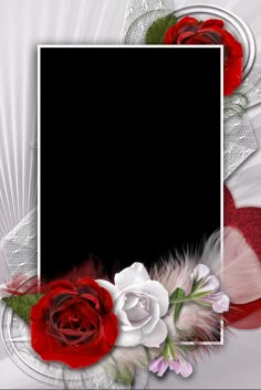 a red and white rose is in front of a black background with an empty frame