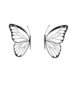 a black and white drawing of a butterfly