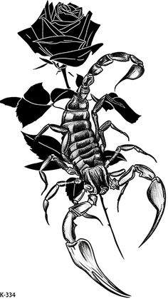 black and white drawing of a scorpion with a rose on it's back side