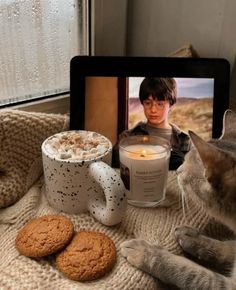 a cat sitting on a blanket next to two cookies and a cup with a candle