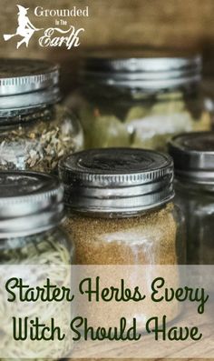 5 Starter Herbs Every Witch Should Have - Grounded In The Earth Wicca Herbs, List Of Herbs, Magickal Herbs