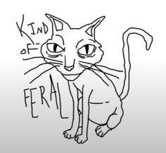 a black and white drawing of a cat with the word feline written on it