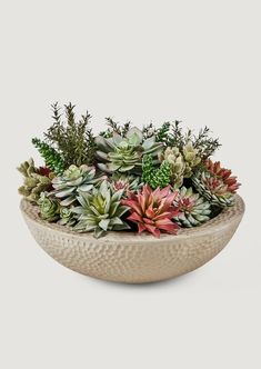 a bowl filled with lots of succulents on top of a table