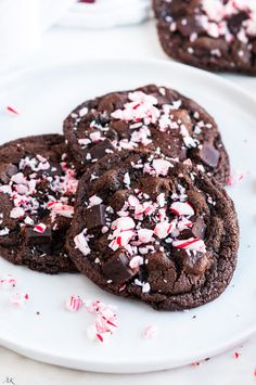 two chocolate peppermint cookies on a white plate with candy canes scattered around them