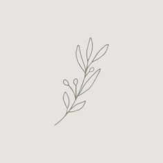 the outline of a plant on a white background