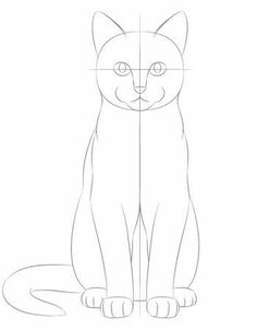 how to draw a cat sitting on the floor step by step drawing instructions for kids