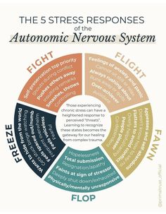 Nervus Vagus, Counselling Tools, Nervous System Regulation, Mental Health Activities, Community Services, Brain Activity, Mental Health Therapy, Autonomic Nervous System, Counseling Activities