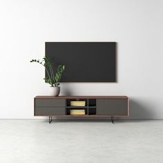 an empty room with a tv and plant in the corner on top of it's stand