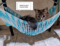 a cat laying in a hammock with a comic bubble above it