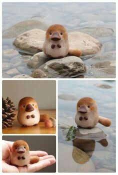 there is a small stuffed animal on top of rocks in the water, and three pictures of it's face