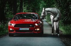 a horse standing next to a red car on a road with trees in the background