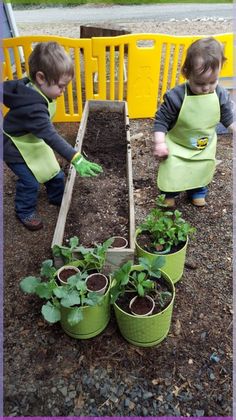 two children in aprons and green aprons are planting some plants on the ground