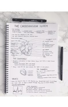 the carbovoxular system is shown in this notebook