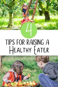 two children playing in the grass with apples and an apple tree behind them, text overlay reads 4 tips for raising a healthy eater