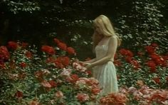 a woman in a white dress is standing among red and pink flowers with her hands on her hips