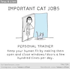 a poster with an image of a person in a doorway and the caption reads, important cat jobs