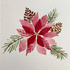 a watercolor painting of a poinsettia flower with pine cones and leaves