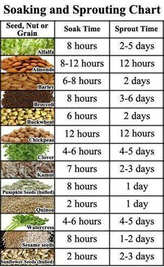 an image of cooking and sprouting chart with different types of food on it