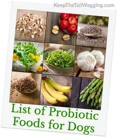 the list of probiotic foods for dogs is shown with pictures of vegetables and fruits