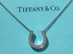 I want this Tiffany's necklace!!!! Gal Aesthetic, Buccellati Jewelry, Platinum Necklace, Horse Riding Outfit, Shower Speaker, Eagle Necklace, Tiffany Necklace, Equestrian Jewelry