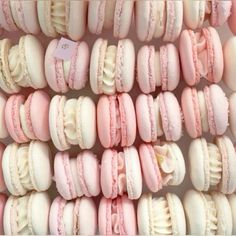 macaroons are arranged in rows on display