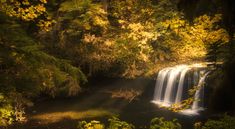 a small waterfall in the middle of a forest with yellow leaves on it's trees